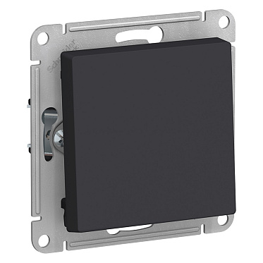 Atn001011 1 кл выключатель, сх.1, 10АХ, мех, карбон