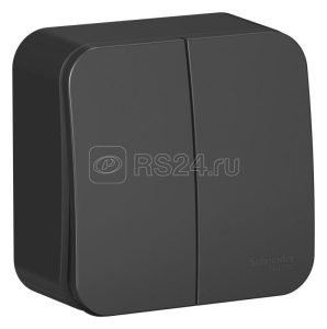 Blnva105016 2 кл выкл. о/у изол. пластина 10А, антрацит